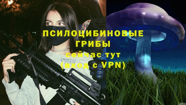 сатива Алексин