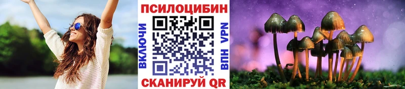 Галлюциногенные грибы Psilocybine cubensis  Воронеж 